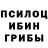 Псилоцибиновые грибы прущие грибы a bird.