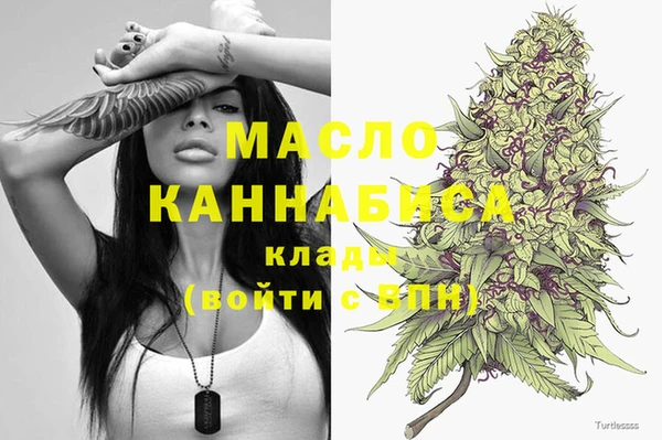 крисы Абаза