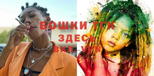 крисы Абаза