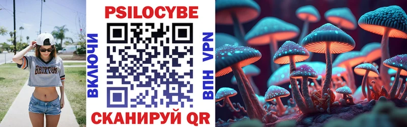 Галлюциногенные грибы Psilocybe  наркота  Зарайск 